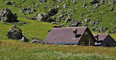 免熏蒸木箱的優點