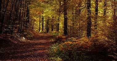 軟包裝耗能少 可持續性遠超想象