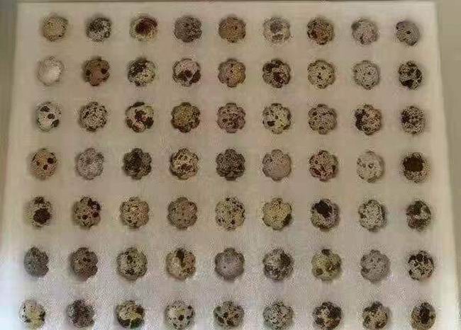 珍珠棉雞蛋托定制